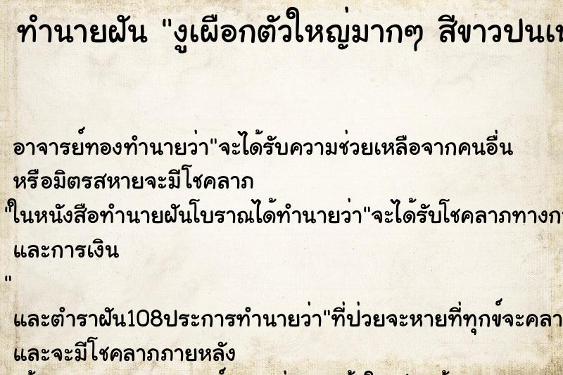 ทำนายฝัน งูเผือกตัวใหญ่มากๆ สีขาวปนเหลืองทองนวลๆ ทำนายฝัน งูเผือกตัวใหญ่มากๆ สีขาวปนเหลืองทองนวลๆ